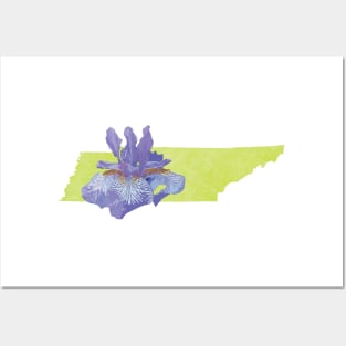 Tennessee Iris Posters and Art